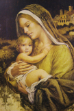 A Mothers Love